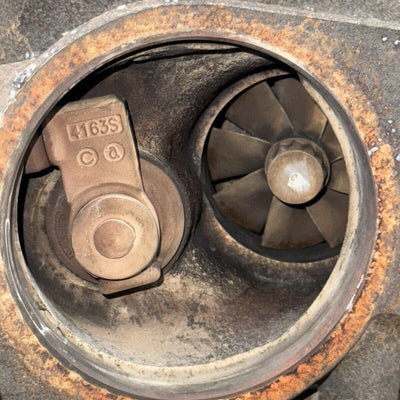 44396619