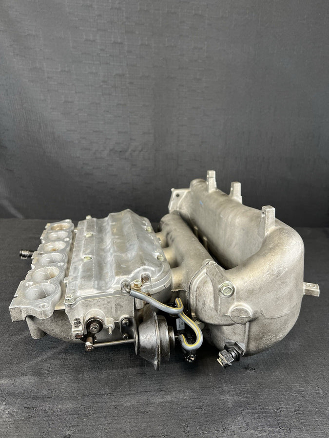 45051519