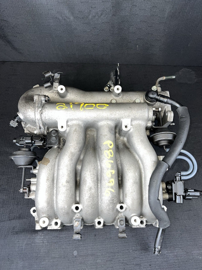 45051519