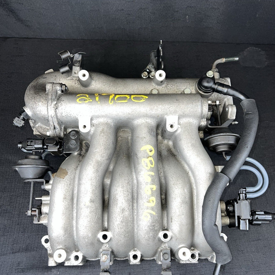 45051519