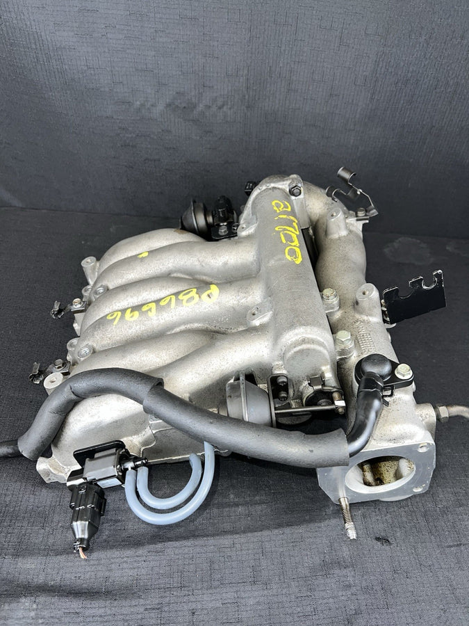 45051519