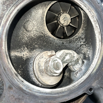 46936338