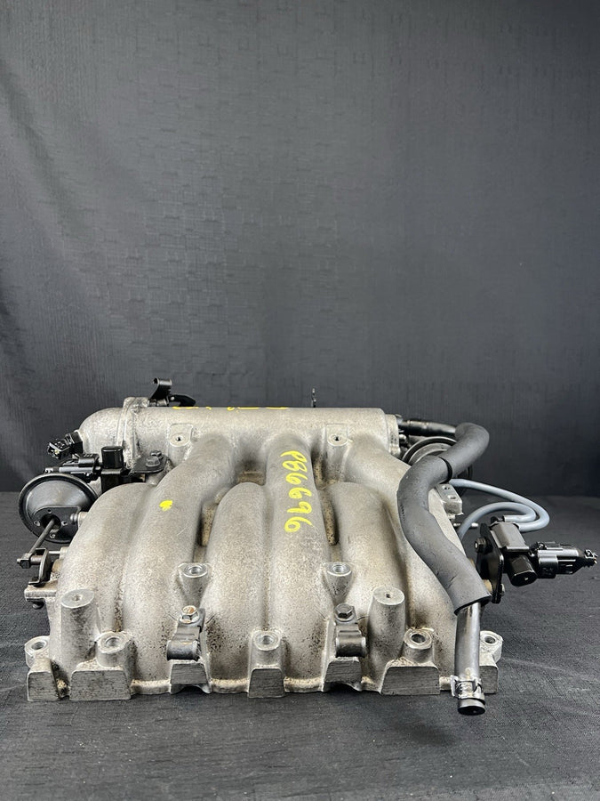 45051519