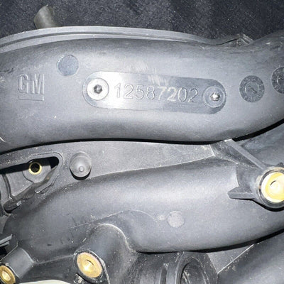 44395824