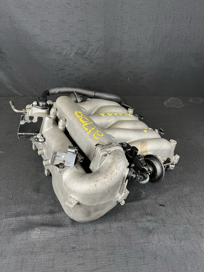 45051519