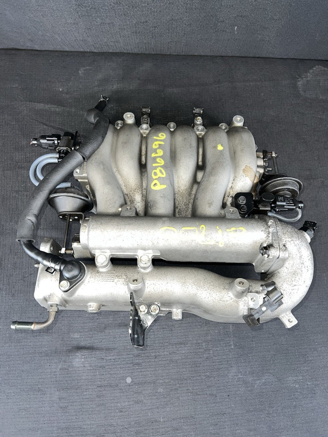45051519