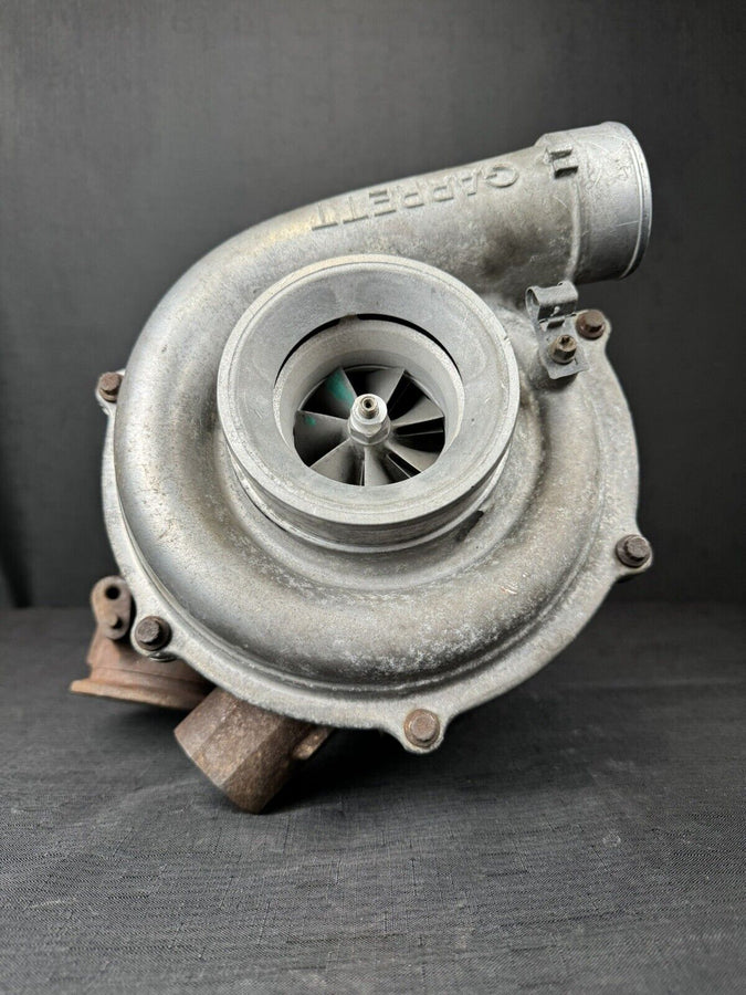 44601704