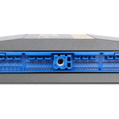 Haltech HT-055101 Platinum PRO Direct Plug-in Nissan R32 - DIRECT FLEX READY