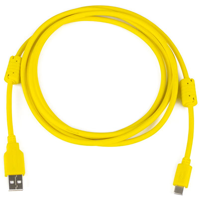 Haltech HT-070021 USB A to USB C Cable - 2.0M - Suits Nexus