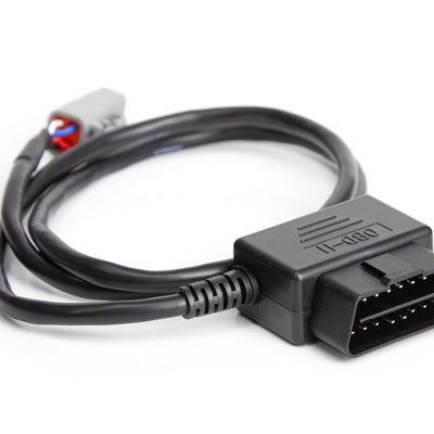 Haltech HT-135001 Ford MK1 Radio DTM4 CAN to OBDII CAN Cable 0.8 / 2.6Ft -