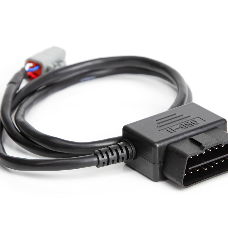 Haltech HT-135001 Ford MK1 Radio DTM4 CAN to OBDII CAN Cable 0.8 / 2.6Ft -