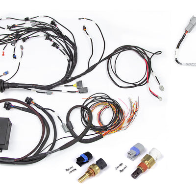 Haltech HT-141226 RB Twin CAM Main Harness, CAS Breakout, No Ignition Breakout