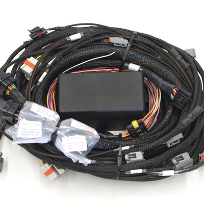 Haltech HT-141362 Elite 2500 GM GEN III LS1 (DBW Ready) Term Harn Only - EV1