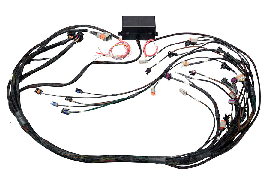 Haltech HT-141366 Elite 2000/2500 GM GEN IV LS2 DBW Ready Term Harn Only - EV1