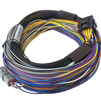 Haltech HT-150602 Elite 750 + Basic Universal Wire-in Harness Kit 2.5m (8’)