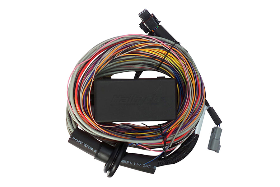 Haltech HT-150604 Elite 750 + Premium Universal Wire-in Harness Kit 2.5m (8’)