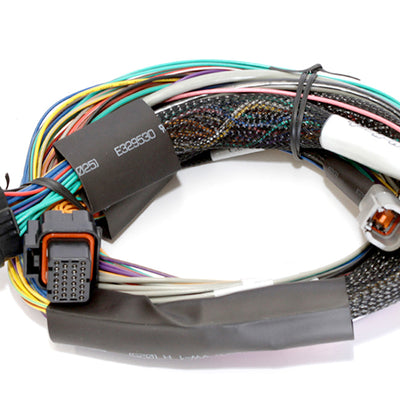 Haltech HT-150902 Elite 1500 + Basic Universal Wire-in Harness Kit 2.5m (8’)