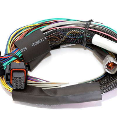 Haltech HT-151302 Elite 2500 + Basic Universal Wire-in Harness Kit 2.5m (8’)
