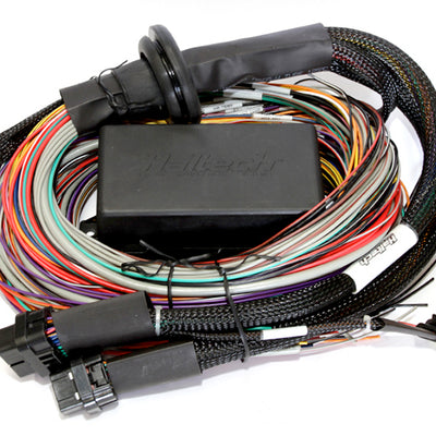 Haltech HT-151304 Elite 2500 + Premium Uni Wire-in Harness Kit 2.5m (8’)