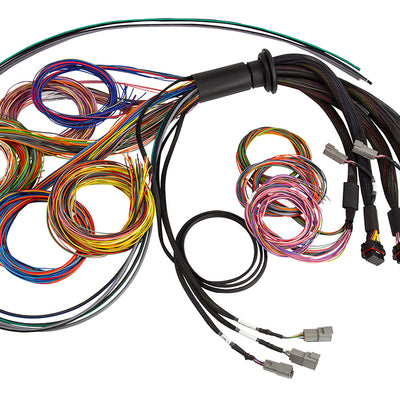 Haltech HT-185200 Nexus R5 Universal Wire-In harness - 2.5M (8')