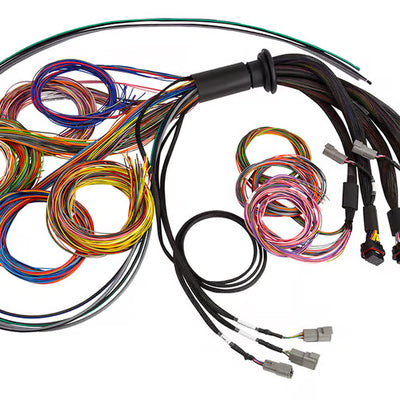 Haltech HT-185201 Nexus R5 Universal Wire-In harness- 5M (16')