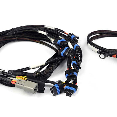 Haltech HT-186061 Nexus V8 IGN-1A Ford Harness