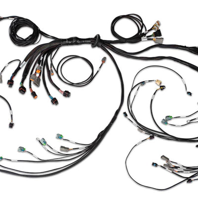 Haltech HT-186205 Nexus R5 LSx DBW Terminated Harness