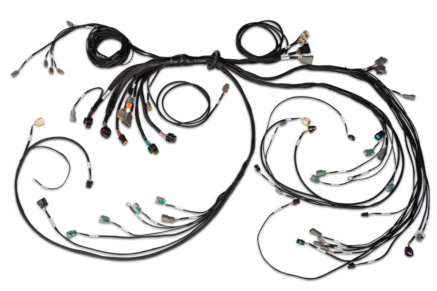 Haltech HT-186205 Nexus R5 LSx DBW Terminated Harness