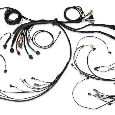 Haltech HT-186206 Nexus R5 LSx Non DBW Terminated Harness