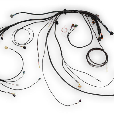 Haltech HT-186500 Nexus Rebel LS Terminated Harness for Nexus Rebel LS ECU