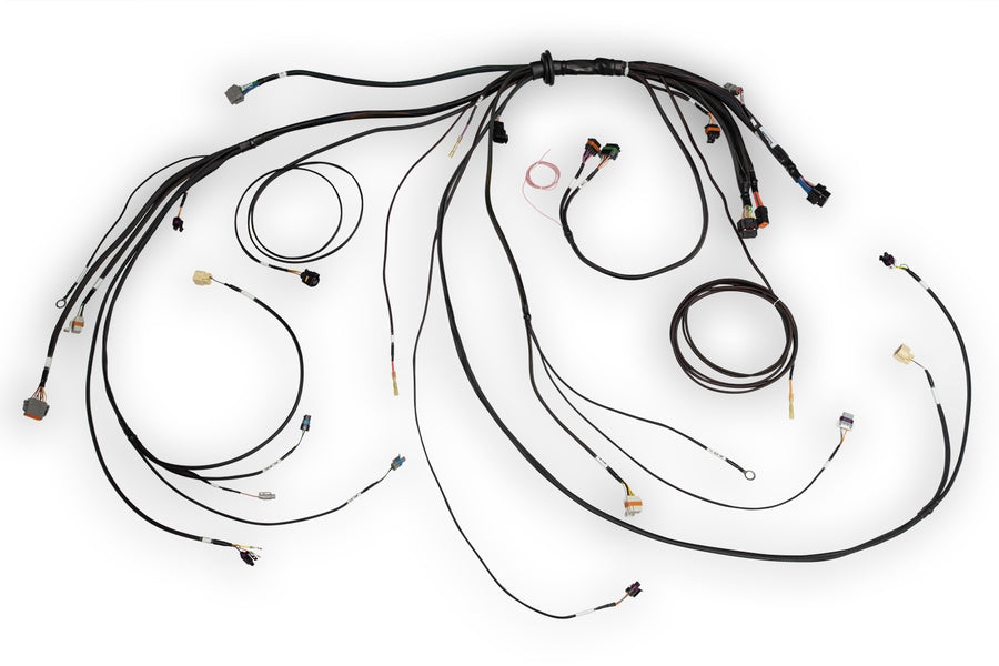 Haltech HT-186500 Nexus Rebel LS Terminated Harness for Nexus Rebel LS ECU
