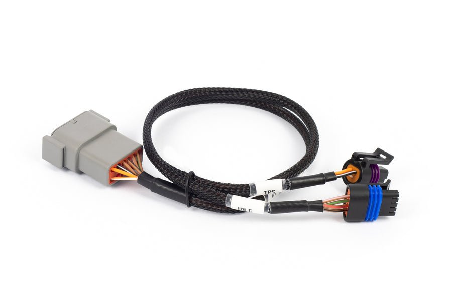 Haltech HT-186504 Nexus Rebel LS - Cable Throttle + IAC sub-harness