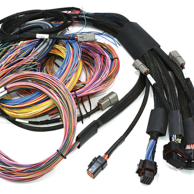 Haltech HT-195200 Nexus R5 + Universal Wire-in Harness Kit - 2.5M (8')