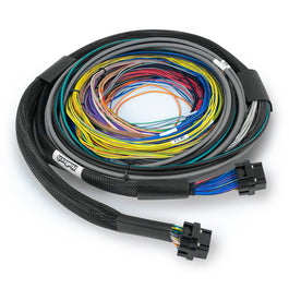 Haltech HT-213200 Nexus S3 ECU + Universal Wire-in Harness - 2.5m (8')