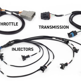 Haltech HT-220201 Rebel LS Kit Suits Gen III Cable throttle, EV1, Manual Transmi