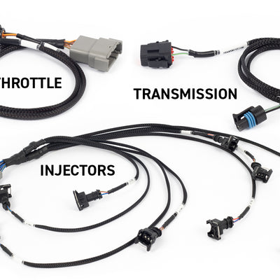 Haltech HT-220201 Rebel LS Kit Suits Gen III Cable throttle, EV1, Manual Transmi