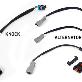 Haltech HT-220201 Rebel LS Kit Suits Gen III Cable throttle, EV1, Manual Transmi