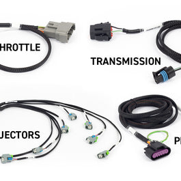 Haltech HT-220204 Rebel LS Kit Suits Gen IV 6-pin DBW, EV6 Injectors , Manual Tr