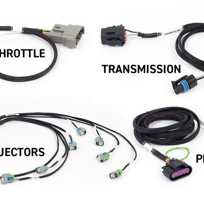 Haltech HT-220204 Rebel LS Kit Suits Gen IV 6-pin DBW, EV6 Injectors , Manual Tr