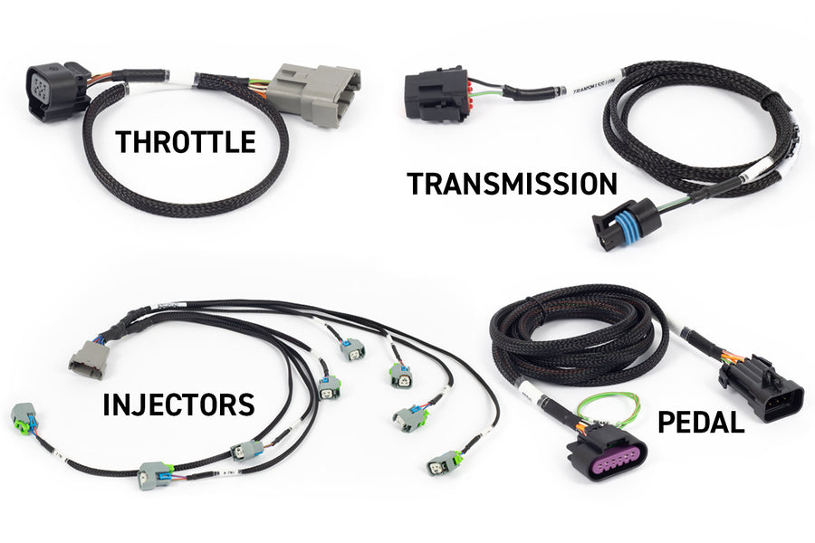 Haltech HT-220204 Rebel LS Kit Suits Gen IV 6-pin DBW, EV6 Injectors , Manual Tr