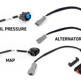 Haltech HT-220204 Rebel LS Kit Suits Gen IV 6-pin DBW, EV6 Injectors , Manual Tr
