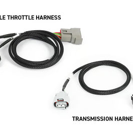 Haltech NEXUS Rebel JZ HT-220205